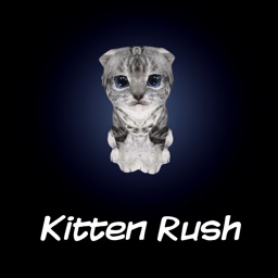 Kitten Rush