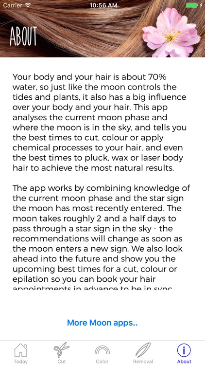 Hair Astrology Professional screenshot-4