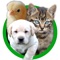 Baby Animal Sounds for Kids and Toddlers is an application that was developed entirely for Toddler