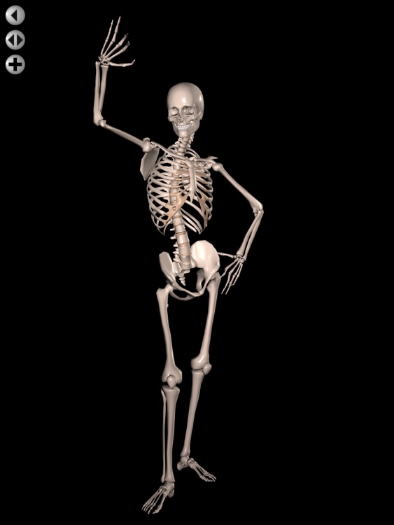 360 Anatomy for Artists HD: Male Figure screenshot-3