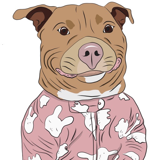 PJ Party icon