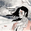 Quick Wisdom from Wuthering Heights:Key Insights