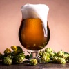 HomeBrew Beer Magazine - Brew Your Own Beer @ Home
