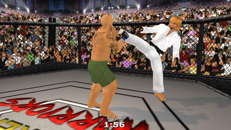 Weekend Warriors MMA