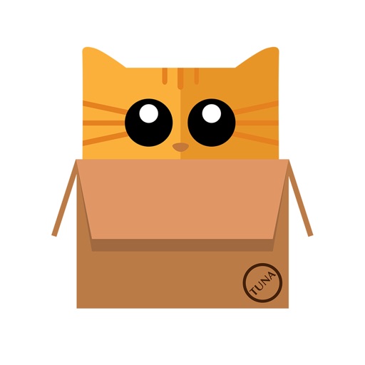 BoxCat BrickBuster for iPad Icon