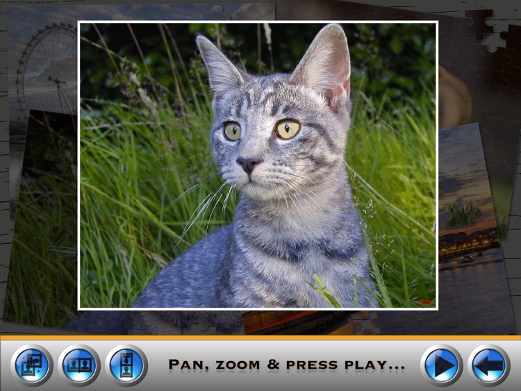 Jigsaw Puzzle Creator screenshot-0