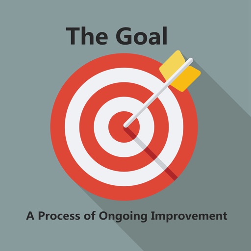 Quick Wisdom from The Goal-Ongoing Improvement