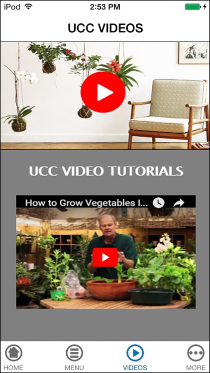 Learn Indoor Gardening for Every Month of The Year