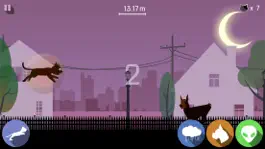 Game screenshot Black Cat Run hack