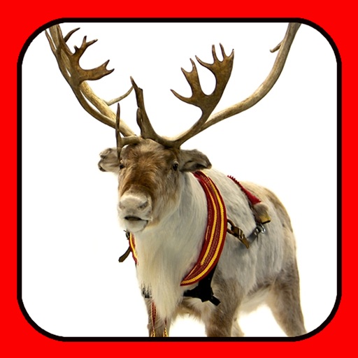 ReindeerCam - Watch Santa's Reindeer & More icon