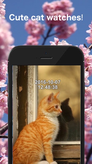 CatPhotoClock(圖1)-速報App