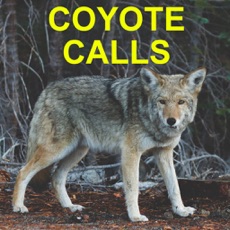 Activities of Coyote Calls for Hunting