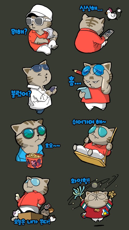 Bori The Secret Cat