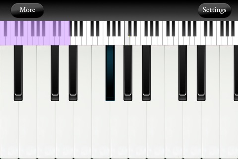 Piano Keyboard - Tiny Piano to Learn Piano Chords screenshot 3