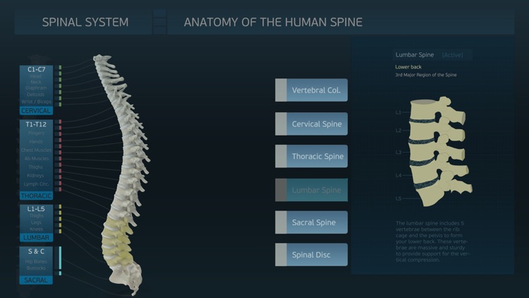 Spinal System screenshot-3