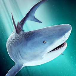 Gone Deep Sea Shark Attack Fishing Games for Kids by Jantajorn