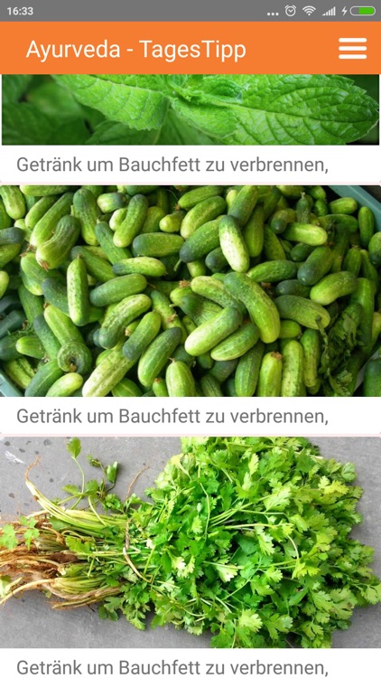 Ayurveda - Tages Tipp screenshot-4