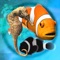 Fish Farm is similar to other raiX UG apps like MyReef 3D Aquarium, 3D Aquarium, and Tropical Aquarium