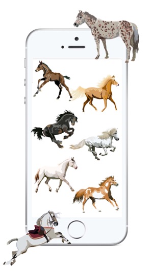 Realistic Horse Art - Horses, Arabian, Appaloosa(圖1)-速報App