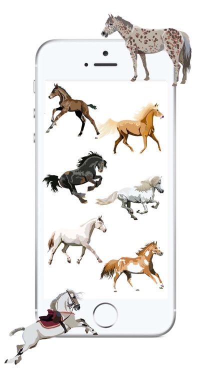 Realistic Horse Art - Horses, Arabian, Appaloosa