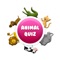 Know the animal names and name the animal in the picture to through hints and clues