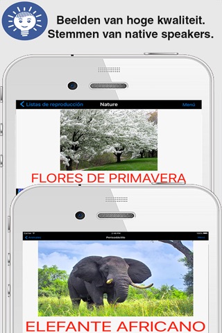 iSpeak learn Spanish language screenshot 3