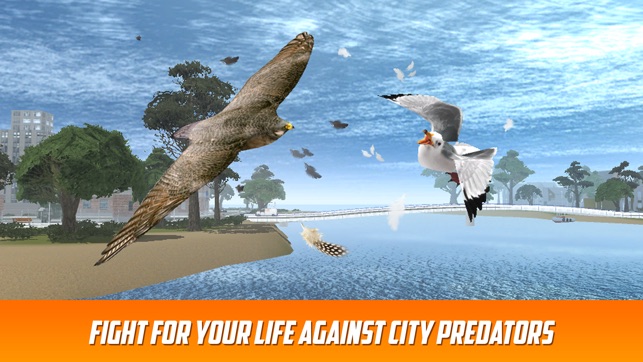 Seagull Bird Survival Simulator 3D(圖3)-速報App