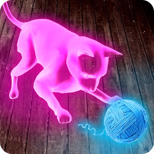 Neon Cat Tom Hologram iOS App