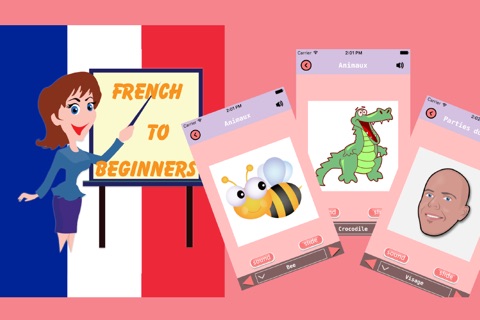 how to speak french flashcards for kids beginners screenshot 2