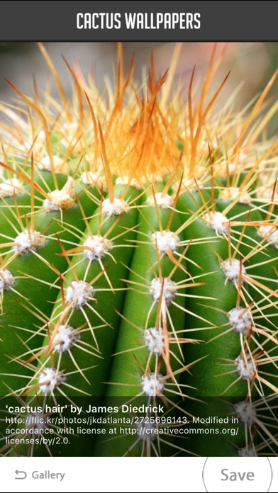 How to cancel & delete Cactus Wallpaper from iphone & ipad 2