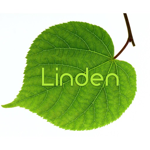 Linden Ave - Dayton, OH icon