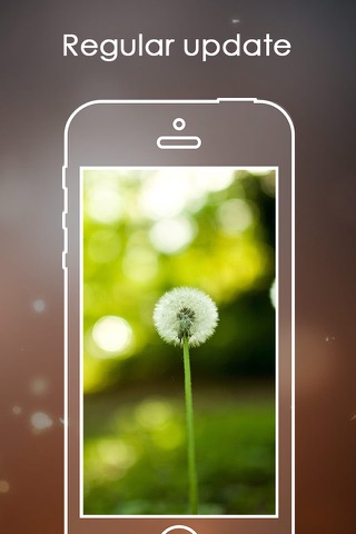 Blurr - Best Blur effect Live Wallpapers screenshot 4