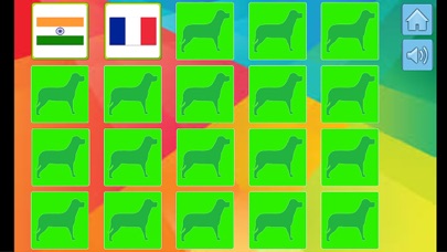 Country Matching Game - Amazing Flag Match 1.0.1 IOS -