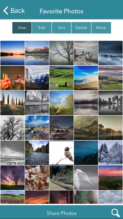 Private Photo Album Organizer
