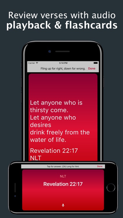 Bible Memory: Remember Me screenshot-3