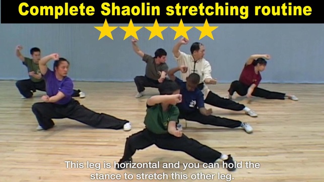 Shaolin Kung Fu Fundamental(圖3)-速報App