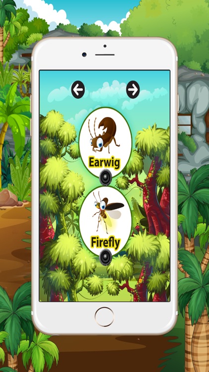 Learn English beginners : Insect : learning games for kids - free!!