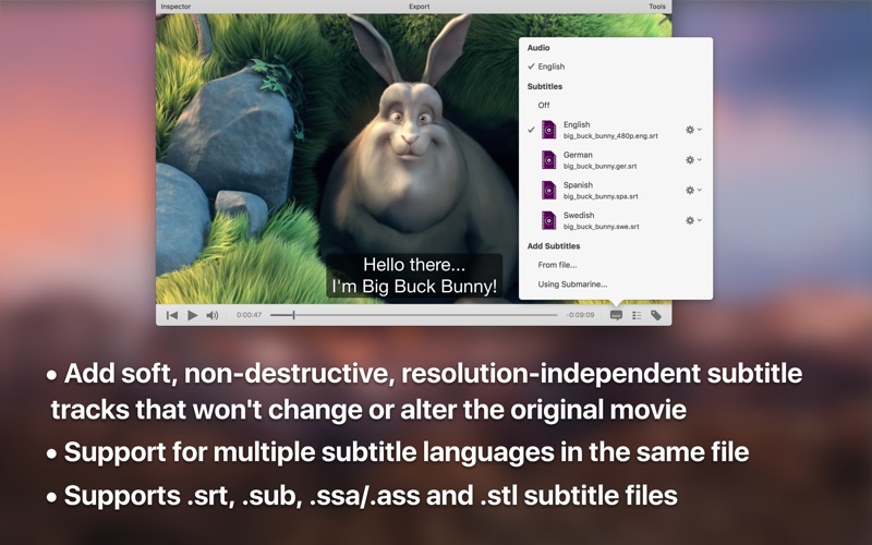 iSubtitle 3.4.6 Mac 破解版 - 视频字幕制作软件