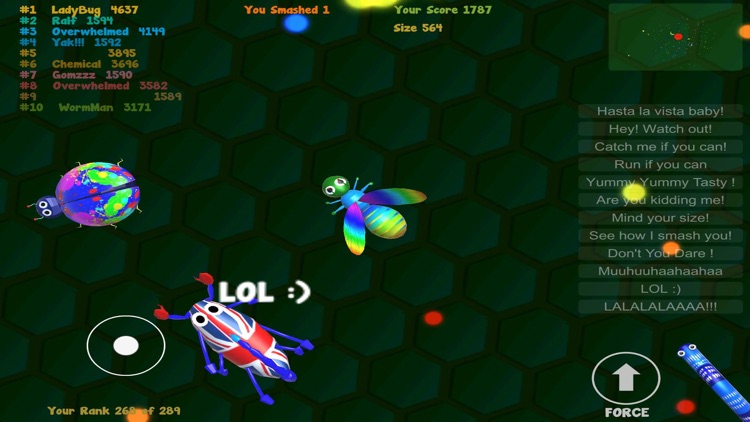 insect.io - Hungry io Evolution