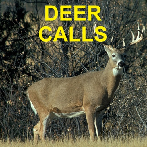 Deer Calls & Sounds for Deer Hunting iOS App