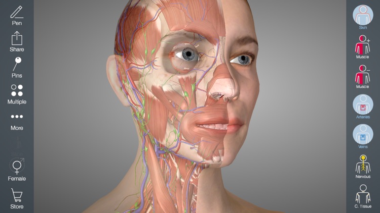 Essential Anatomy 5