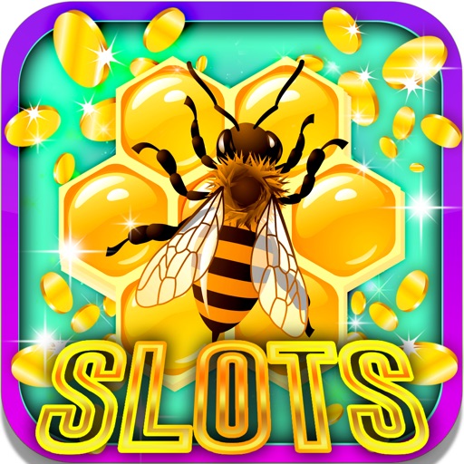 Lucky Spider Slots: Roll the special insect dice icon