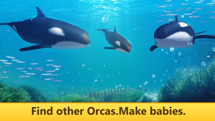 Ocean Whale Orca Simulator: Animal Quest 3D Full screenshot-3