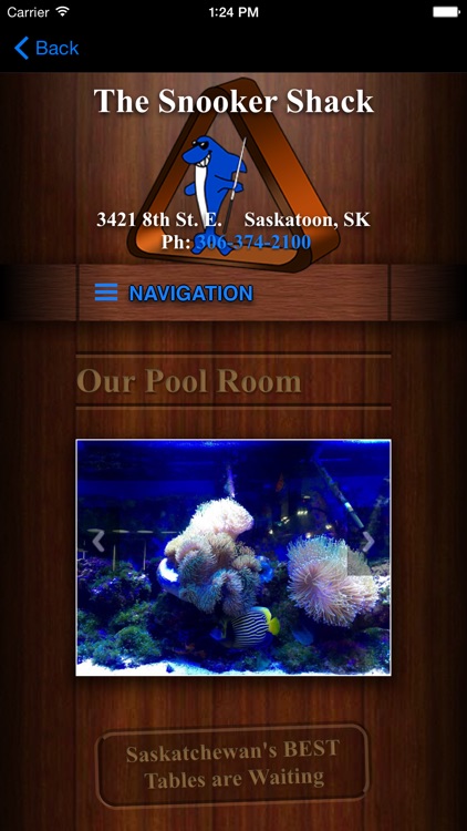 The Snooker Shack screenshot-3