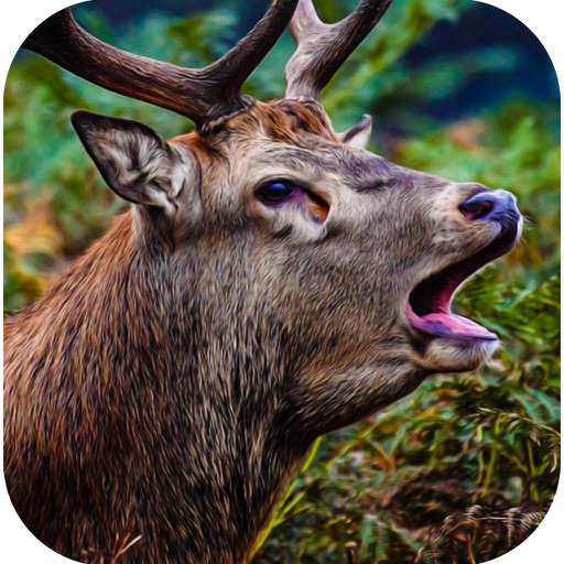 Ultimate Deer Hunter African Safari Hunting Icon