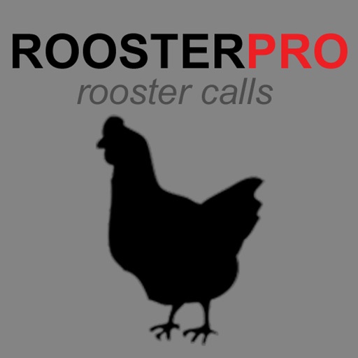 REAL Rooster Sounds and Rooster Crowing Icon