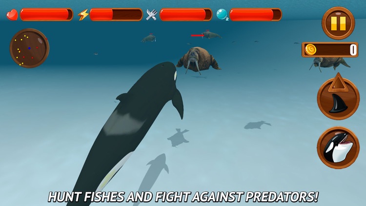 Angry Killer Whale: Orca Simulator 3D