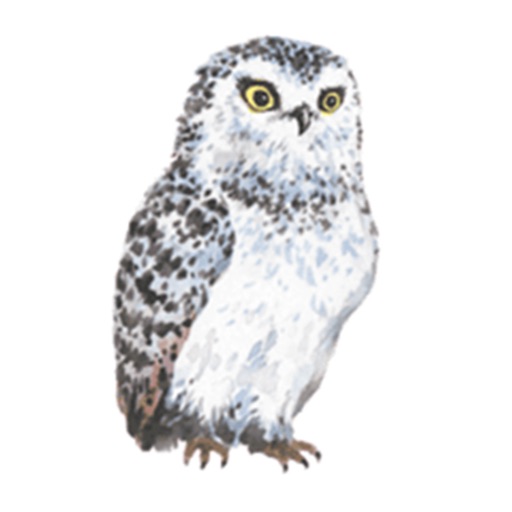Beautiful Owls - Stickers & Emoji! icon