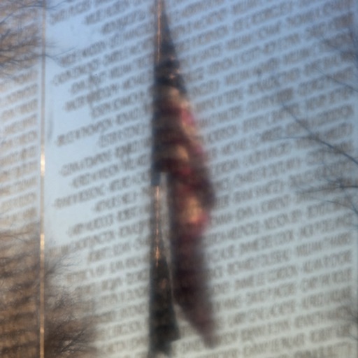 Vietnam Memorial