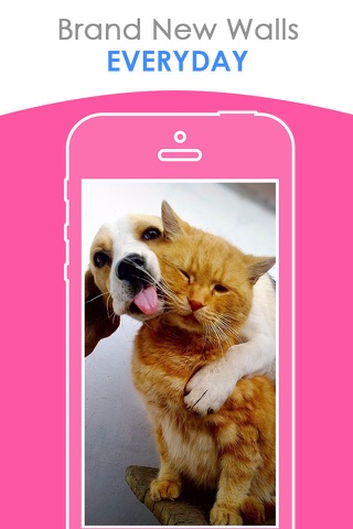 Free puppy & Kitten Wallpapers | Best HD Pictures screenshot 4